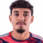 Theo Henrique Costa Ferreira
