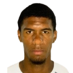 Vitor Hugo Alves Goncalves