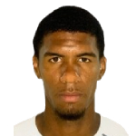 Vitor Hugo Alves Goncalves