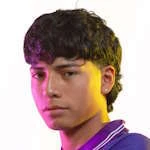 Carlos Saavedra