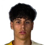 Mikail Akdemir