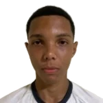 Pedro Henrique Gabriel Dias