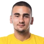 Srđan Nedić