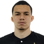 Felipe Alves Ribeiro