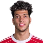 Emam Ashour