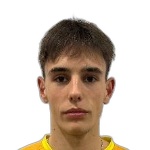 Tin Došen