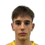 Tin Došen