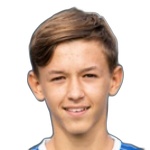 Tarik Brkić