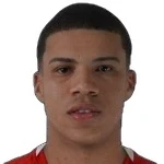 Vini Reis