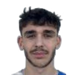 Roko Šangulin