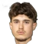 Anel Mednolučanin