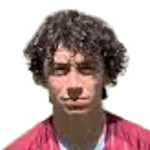 Federico D'Incoronato