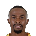 Godfrey Ngwenya