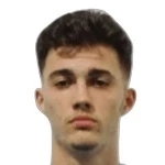Jovan Mituljikić