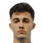 Jovan Mituljikić