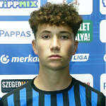 Patrik Pleskó