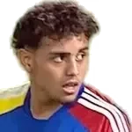 Junior Araujo