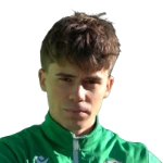 Vladimir Fratea