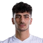 Amirmohammad Razzaghinia