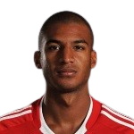 David N'Gog