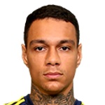 Gregory van der Wiel
