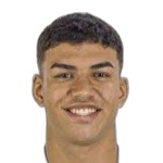 G. D. d. S. Gonçalves