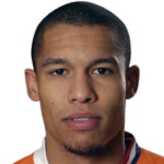 Nigel de Jong