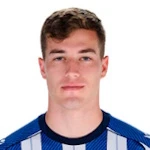 Luka Sučić