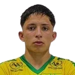 Matheus Henrique da Silva Gottems