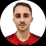 Michel Vlad