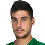 Panagiotis Petrousis