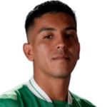 Marco Collao