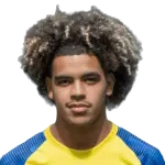 Riyan Majdi