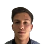 Henrique dos Santos de Oliveira