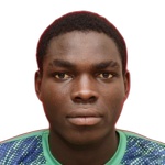 N. O. Ayobami
