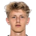 V. Sedin
