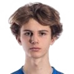 Tristan Vendelin