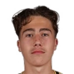 Jelle Driessen