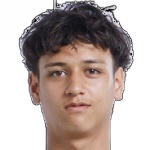 Tiago Vermeulen