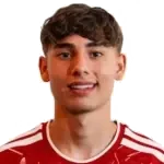 Erik Farkas Leonárd