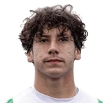 D. Alves