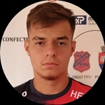 Mihai Alexandru Patulea