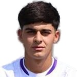 K. Vardanyan