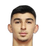 Arda Isik
