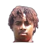 Alisson Dos Santos Coelho