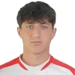 Davit Gogilashvili