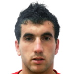 Zoran Mikijelj