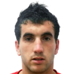 Zoran Mikijelj