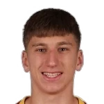 Petar Vujović