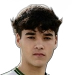 Afonso Assis